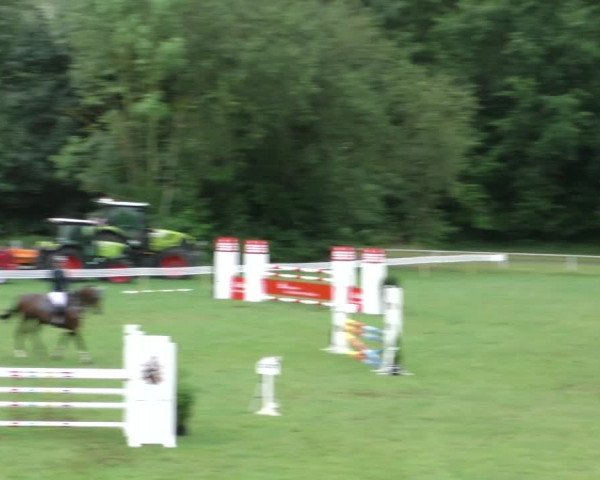 Reitturnier Wolfsburger Klassiker 2023