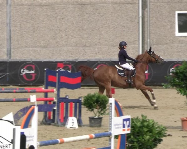 Reitturnier Kalenborn Hegehof 2023