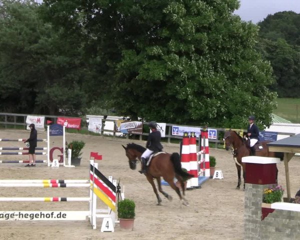Reitturnier Kalenborn Hegehof 2023