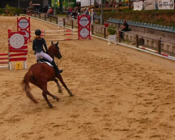 Reitturnier Uder, Reitanlage Kobold 2023