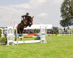 Springpferd Charis Vom Wellberg CH (Schweizer Warmblut, 2013, von Christian 25)