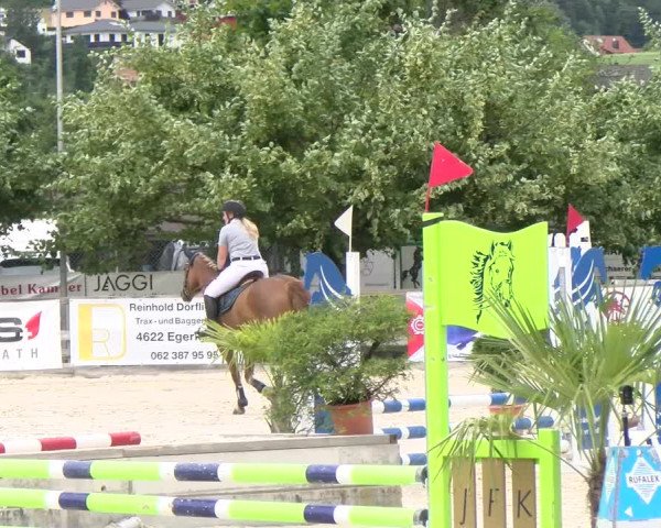 Reitturnier Balsthal 2023