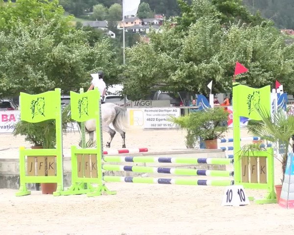 Reitturnier Balsthal 2023
