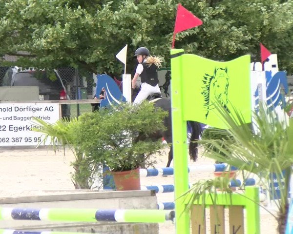 Reitturnier Balsthal 2023