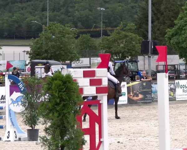 Reitturnier Balsthal 2023