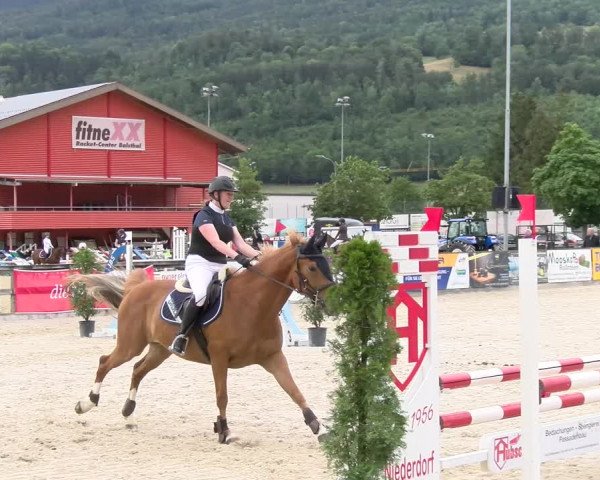 Reitturnier Balsthal 2023