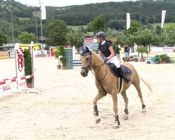 Reitturnier Balsthal 2023