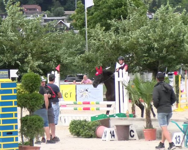Reitturnier Balsthal 2023