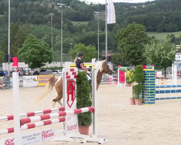 Reitturnier Balsthal 2023