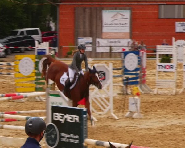 Reitturnier Uder, Reitanlage Kobold 2023