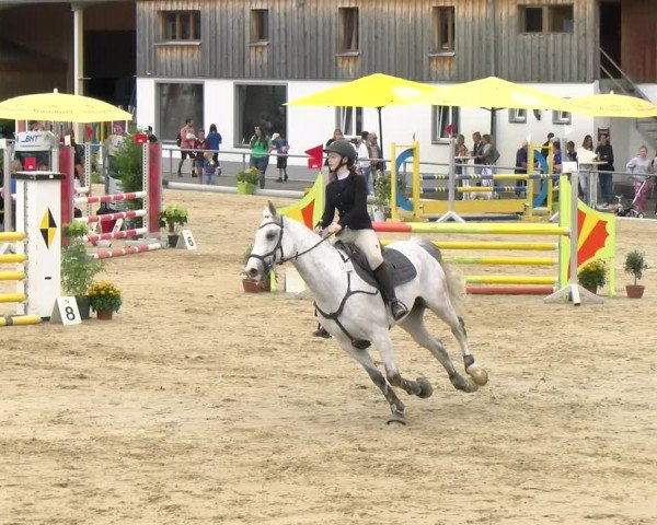 Reitturnier Rankweil 2023