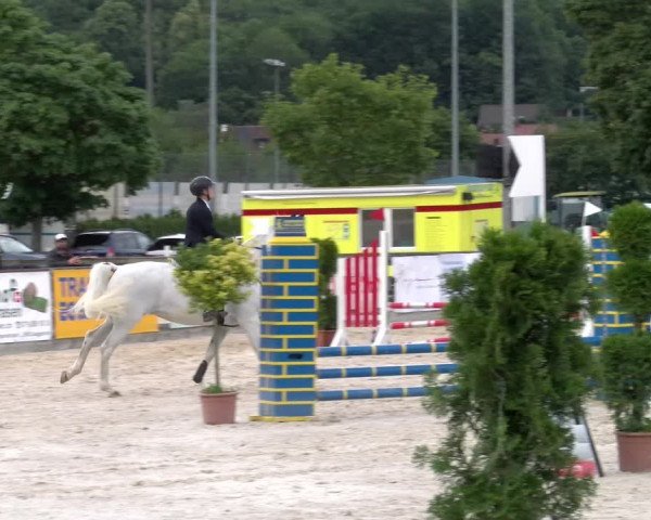 Reitturnier Balsthal 2023