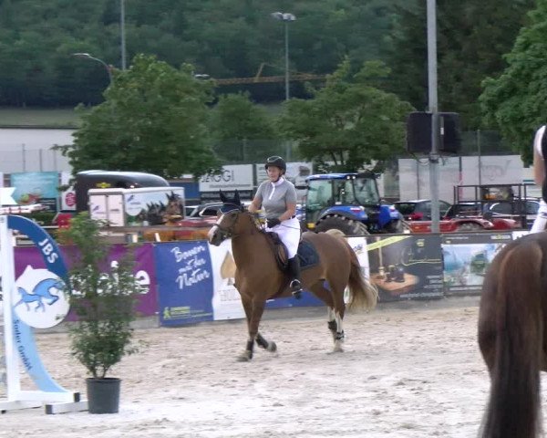 Reitturnier Balsthal 2023