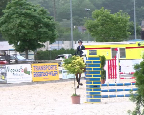 Reitturnier Balsthal 2023