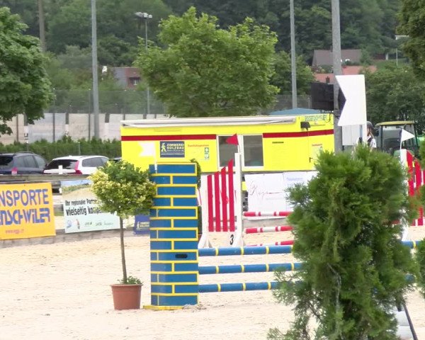 Reitturnier Balsthal 2023