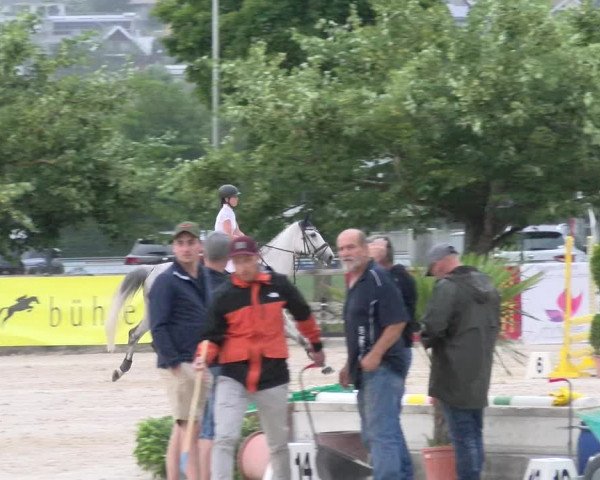 Reitturnier Balsthal 2023