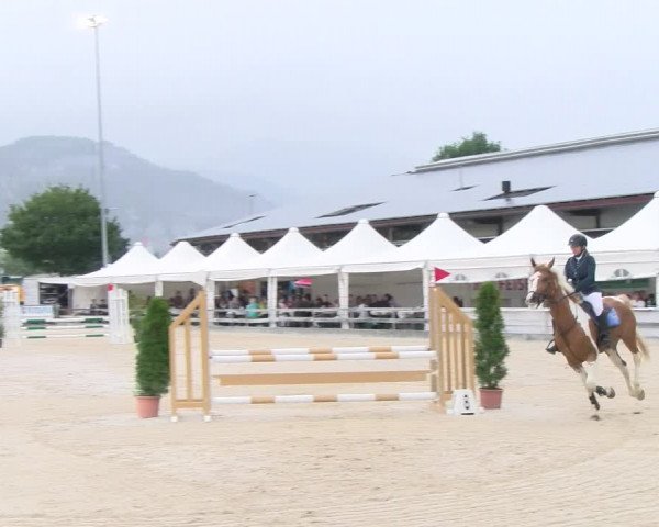 Reitturnier Balsthal 2023