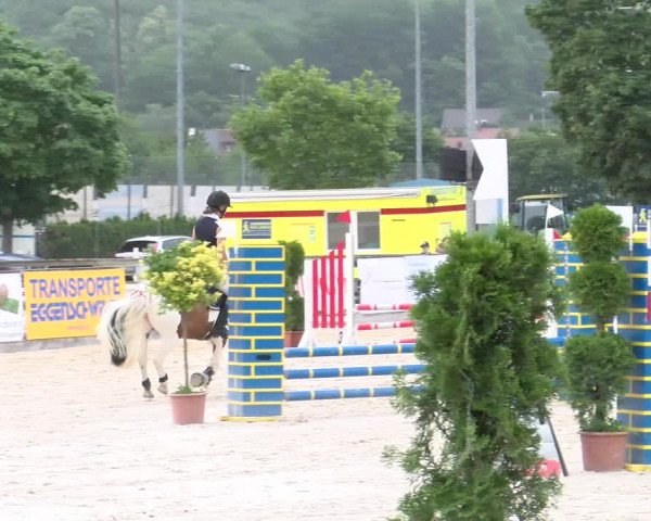 Reitturnier Balsthal 2023
