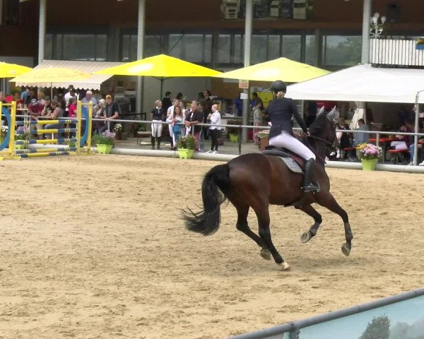 Reitturnier Rankweil 2023
