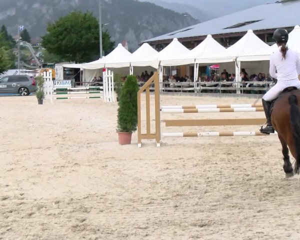 Reitturnier Balsthal 2023