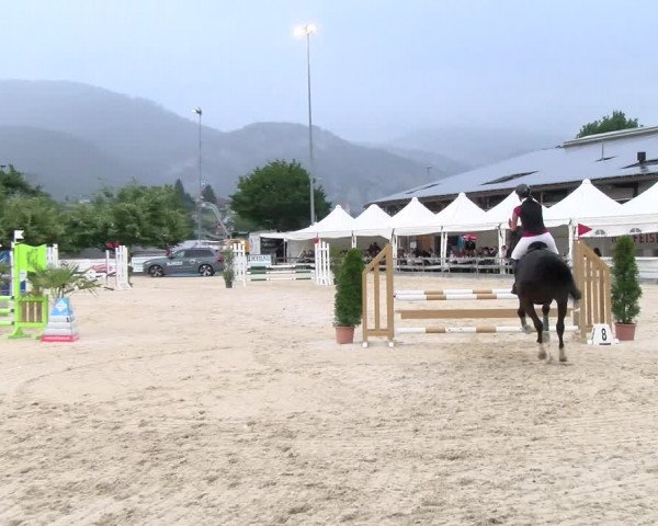 Reitturnier Balsthal 2023