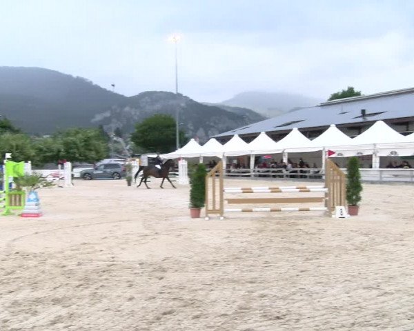 Reitturnier Balsthal 2023