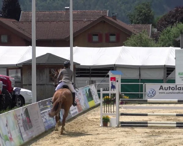 Reitturnier Rankweil 2023