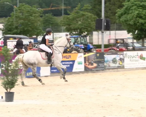 Reitturnier Balsthal 2023