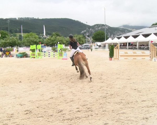 Reitturnier Balsthal 2023