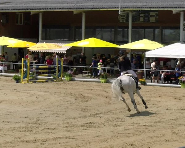Reitturnier Rankweil 2023