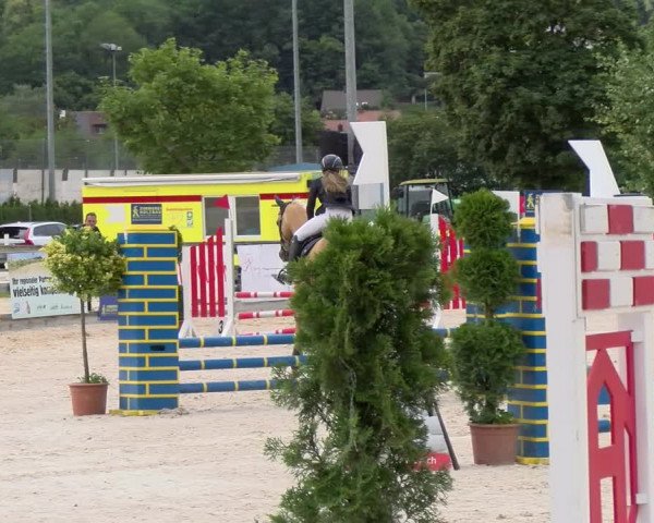 Reitturnier Balsthal 2023