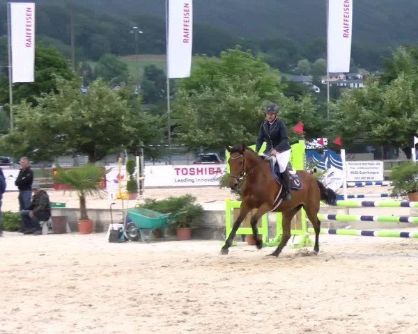 Reitturnier Balsthal 2023