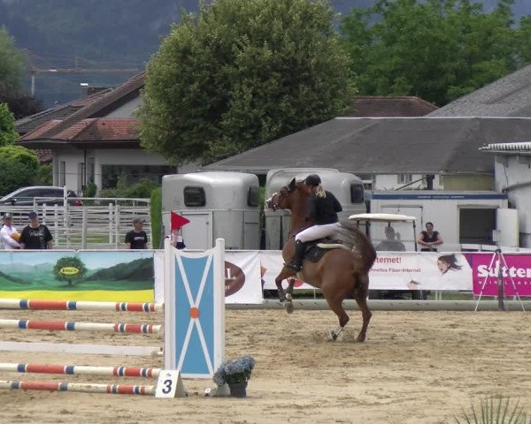 Reitturnier Rankweil 2023