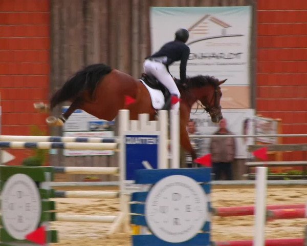 Reitturnier Uder, Reitanlage Kobold 2023
