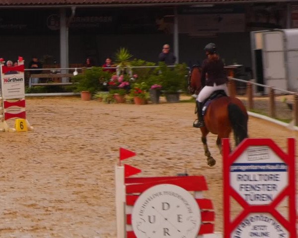 Reitturnier Uder, Reitanlage Kobold 2023