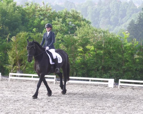 Reitturnier Margarethenhof /Beckingen 2023