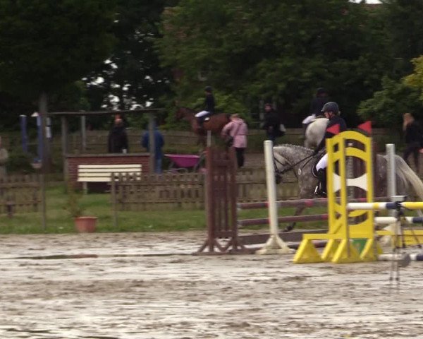 Reitturnier Schülp / Rendsburg 2023