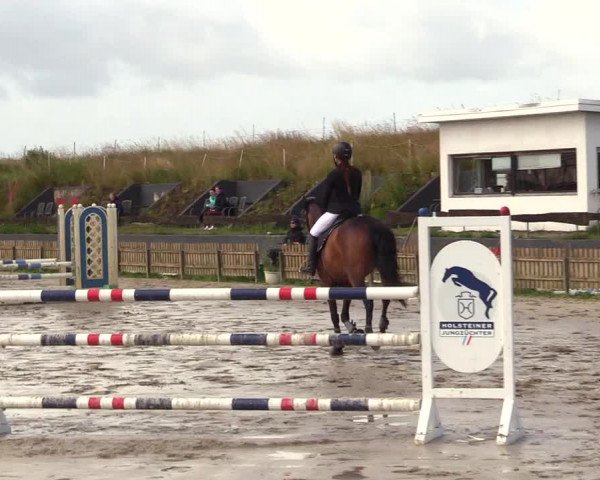 Reitturnier Schülp / Rendsburg 2023