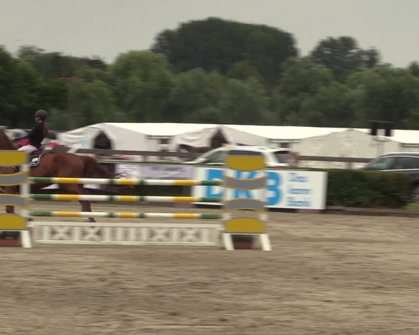 Reitturnier Neustadt/Dosse 2023