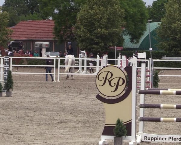 Reitturnier Neustadt/Dosse 2023