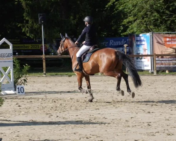 Reitturnier Walldorf/Winterheck PSG 2023