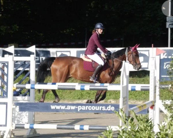 Reitturnier Walldorf/Winterheck PSG 2023