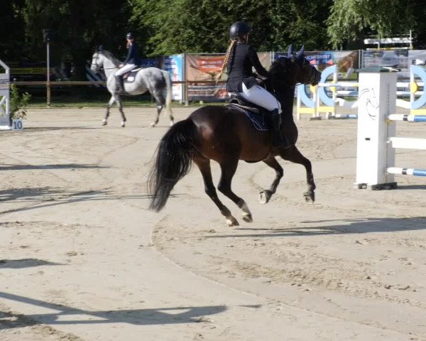 Reitturnier Walldorf/Winterheck PSG 2023