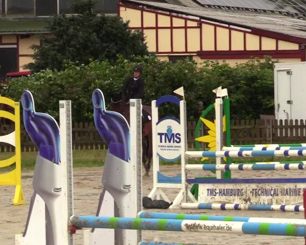 Reitturnier Schülp / Rendsburg 2023