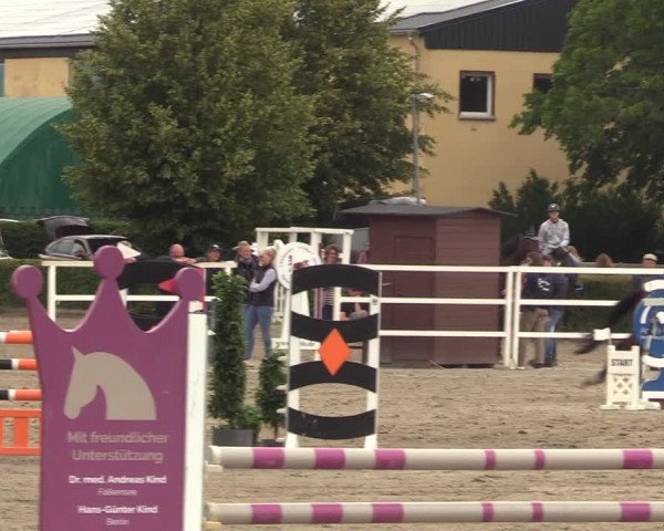 Reitturnier Neustadt/Dosse 2023