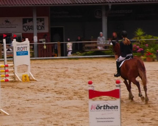 Reitturnier Uder, Reitanlage Kobold 2023