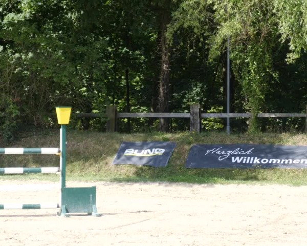 Reitturnier Walldorf/Winterheck PSG 2023