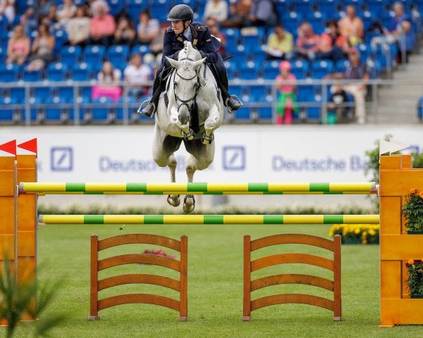 broodmare Chakira TF NRW (Westphalian, 2011, from Congress)