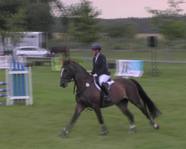 Reitturnier Ihleburg 2023
