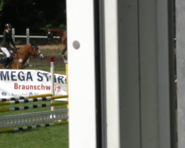 Reitturnier Wolfsburger Klassiker 2023